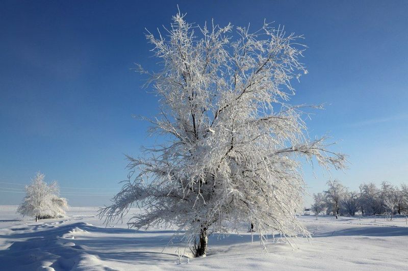 Зима фото превью