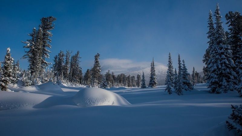ергаки, луг, гора, тушканчик, снег, зима, ели, метель Луг Тушканчик фото превью