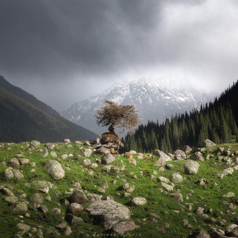Перед грозой фото превью