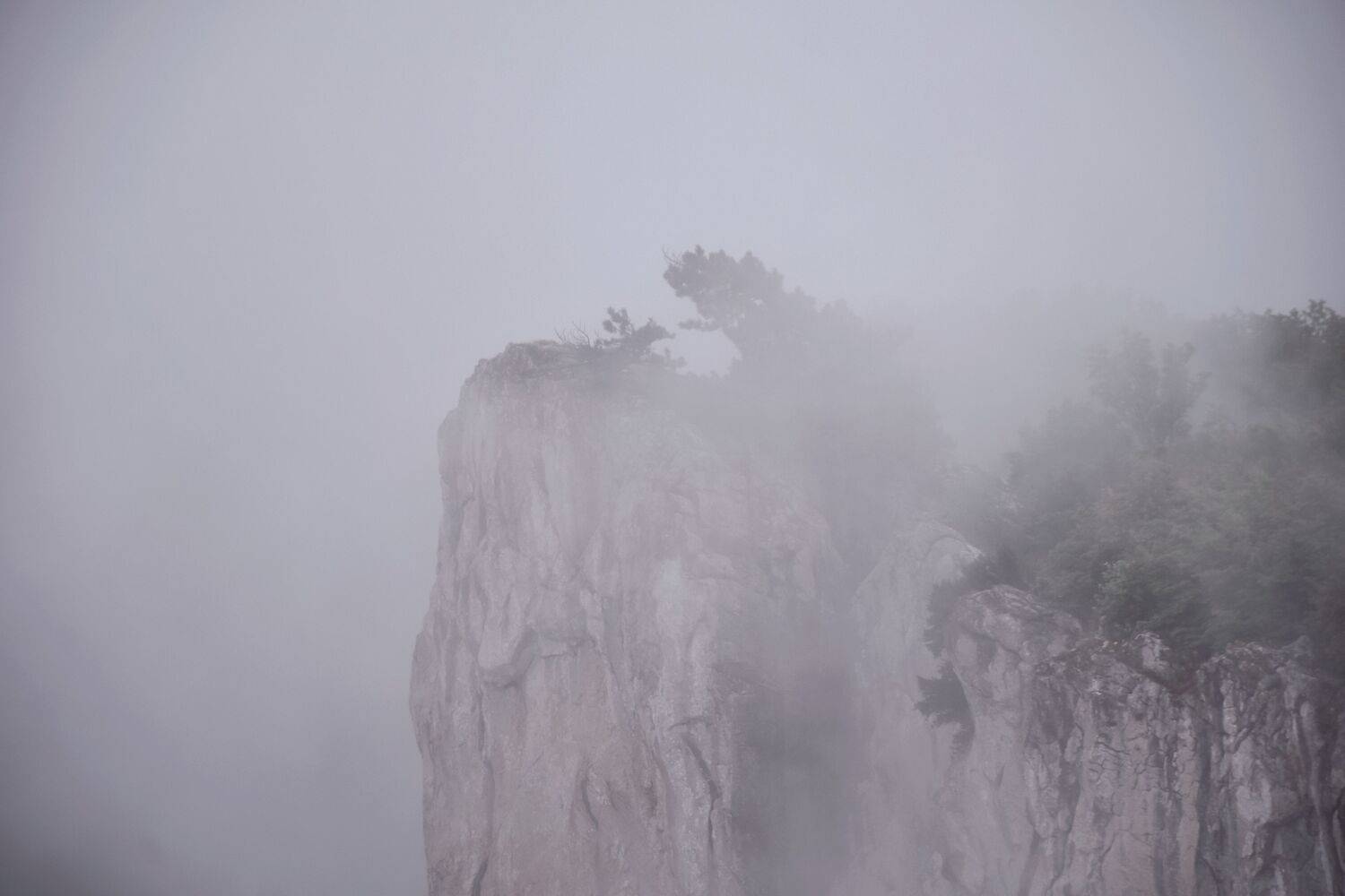 , Даников Анастасия