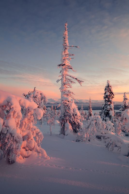 Кольский п-ов; Экостровский пролив фото превью