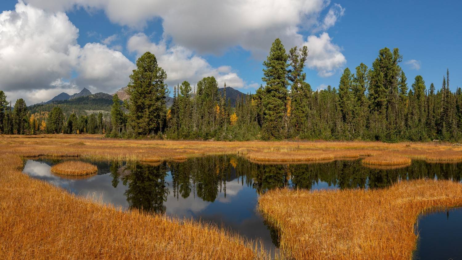 ергаки сентябрь буйбинское, Беляев Юрий