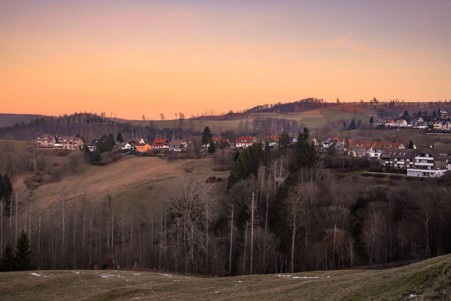 , Игорь Дубровский