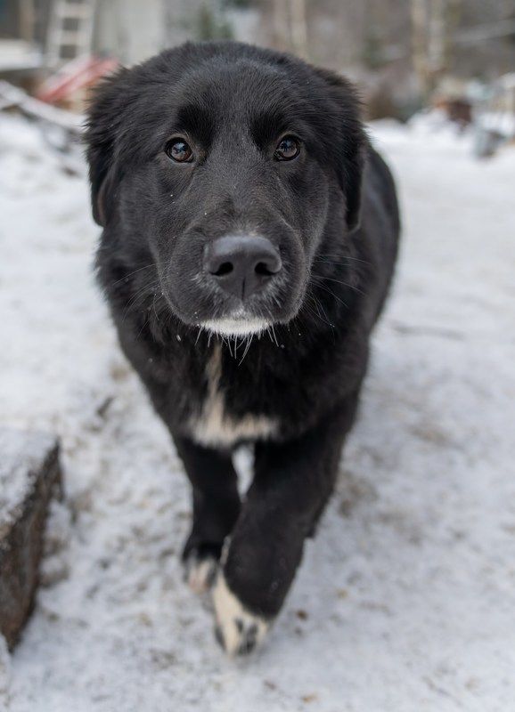Друзей много не бывает фото превью