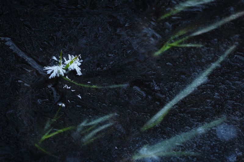 2025 фото превью