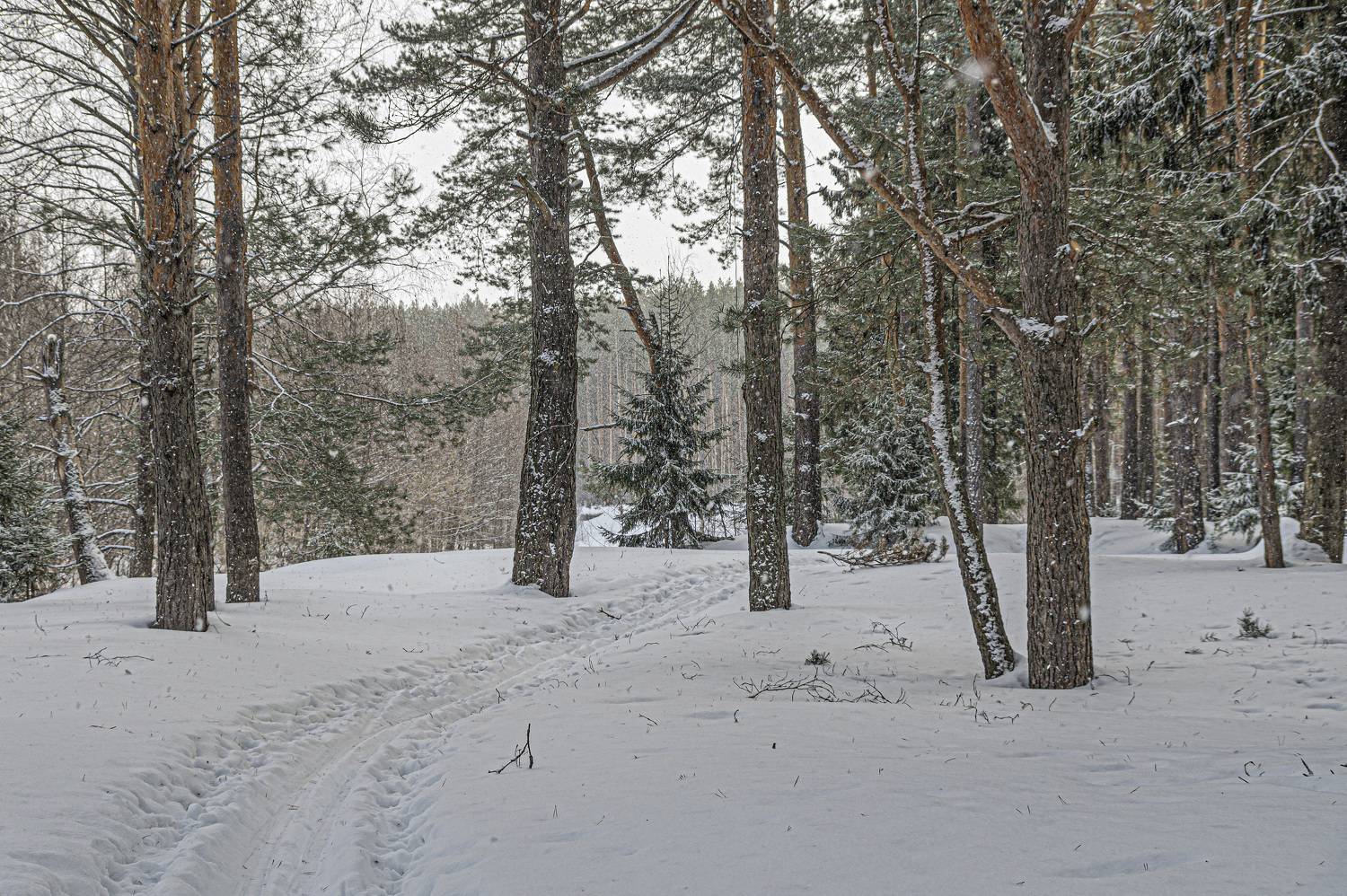 , Шитов Александр