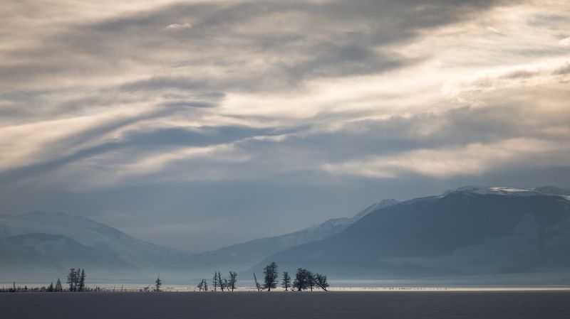 алтай, курай, курайская степь Курайская степь фото превью
