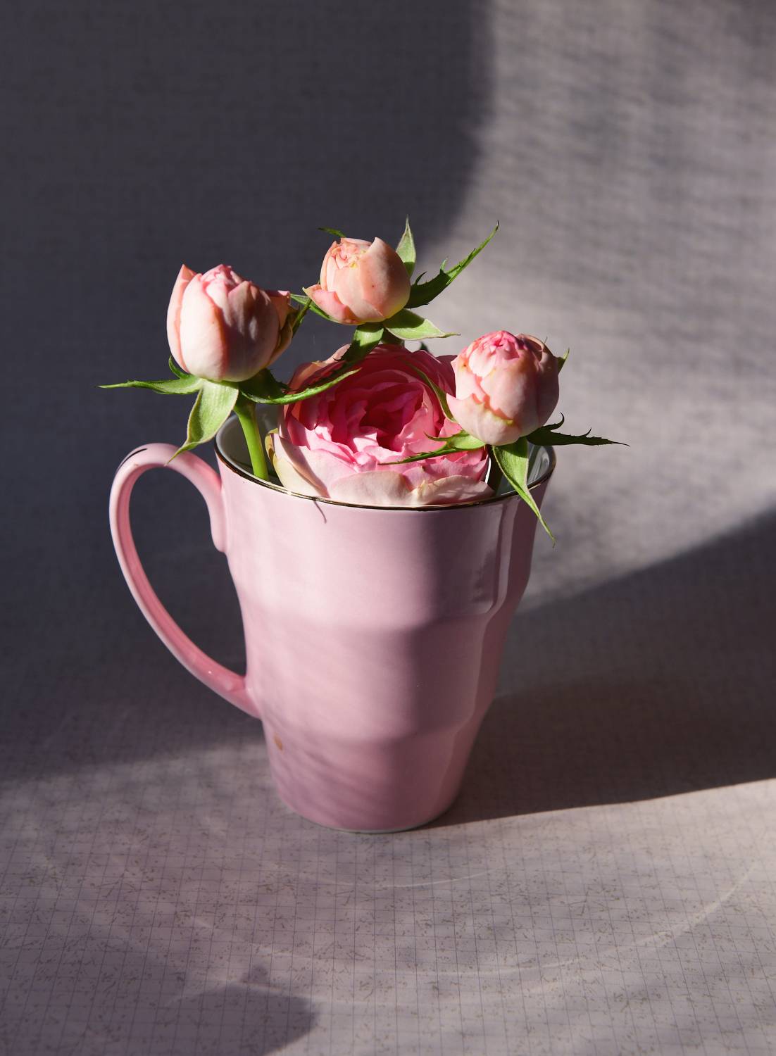 , Божена Пучко