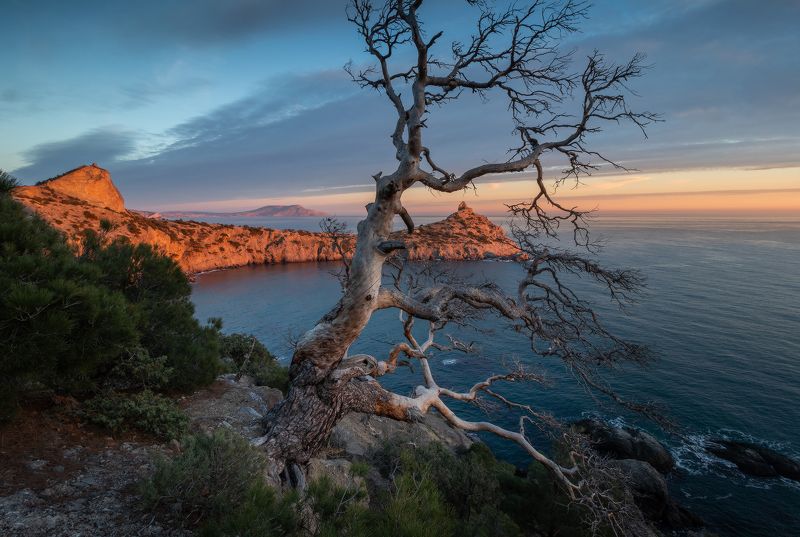 Закат в Новом Свете. фото превью