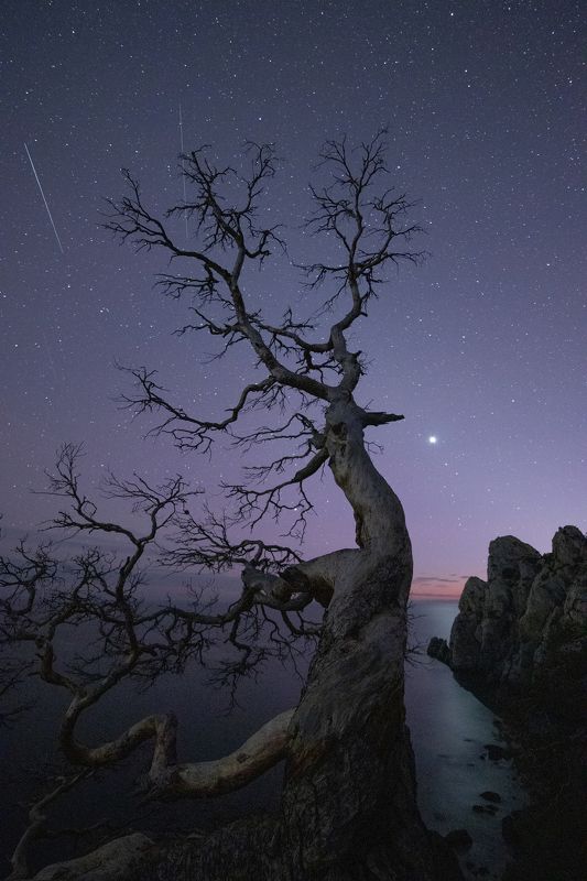 ... фото превью