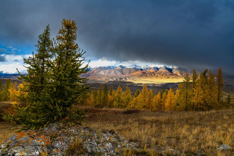 алтай, осень, горы Осенний Алтай фото превью