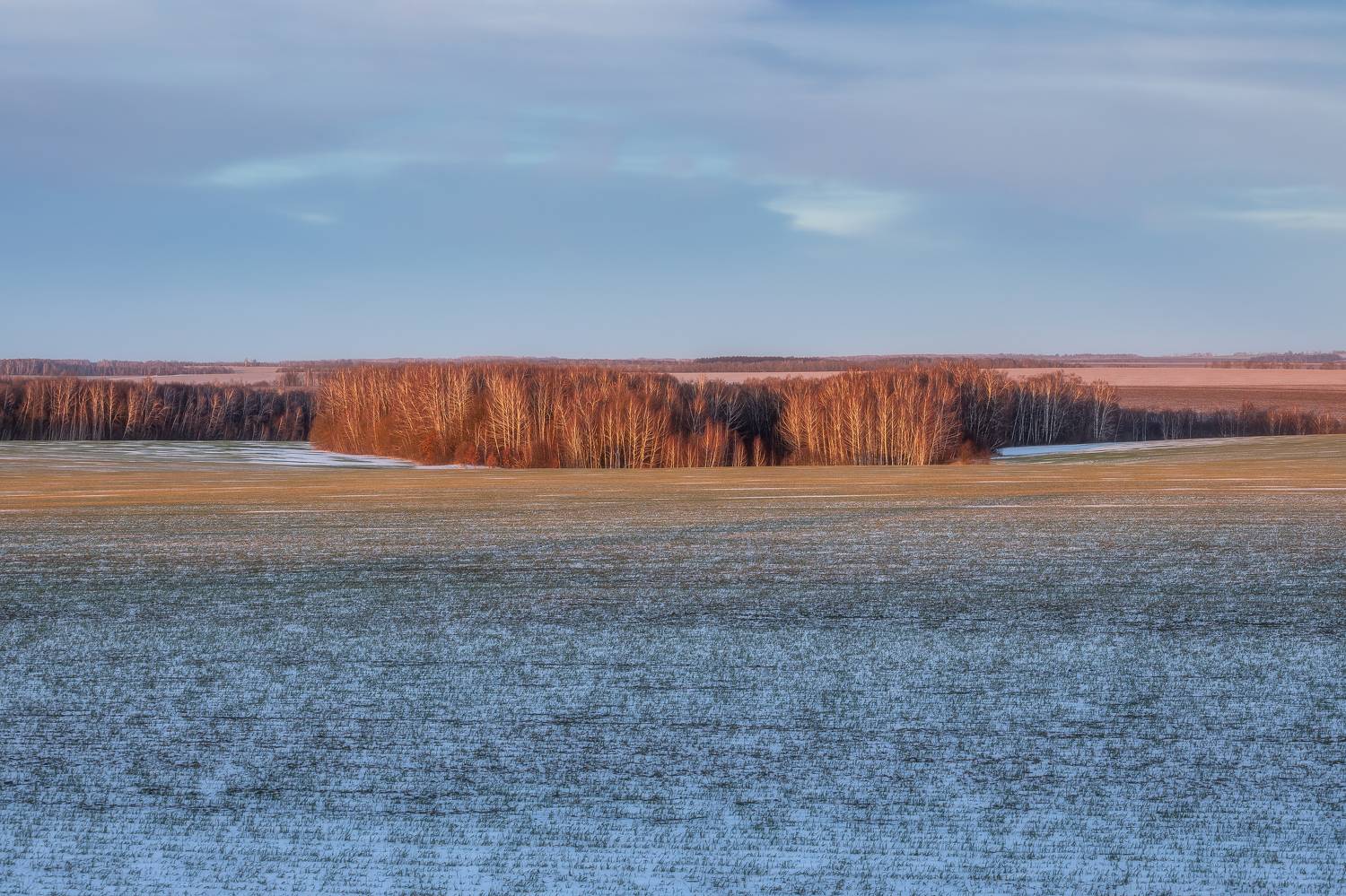 природа, закат, зима, зимний пейзаж, Тульская область, пейзаж, сельское хозяйство, Мартыненко Дмитрий