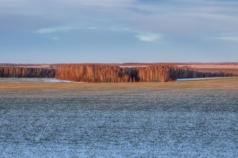 природа, закат, зима, зимний пейзаж, Тульская область, пейзаж, сельское хозяйство Теплая зима фото превью