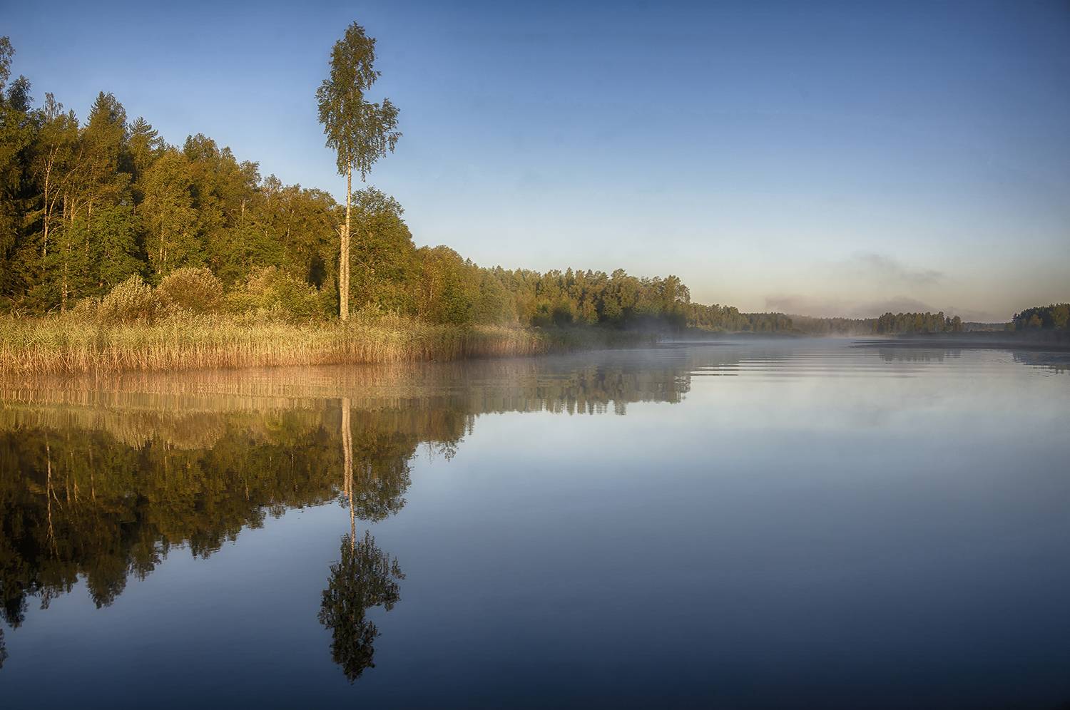 , Сергей Аникин
