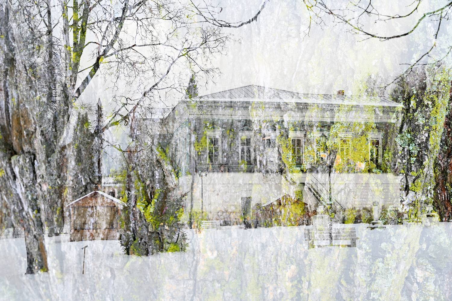 , Марина Никифорова