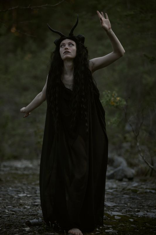 Мох фото превью