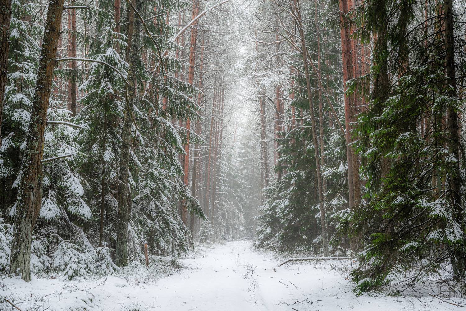 , Руслан Авдевич