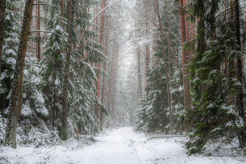 *** фото превью