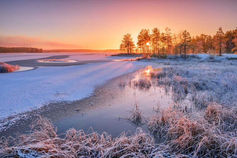 Зима пришла... фото превью