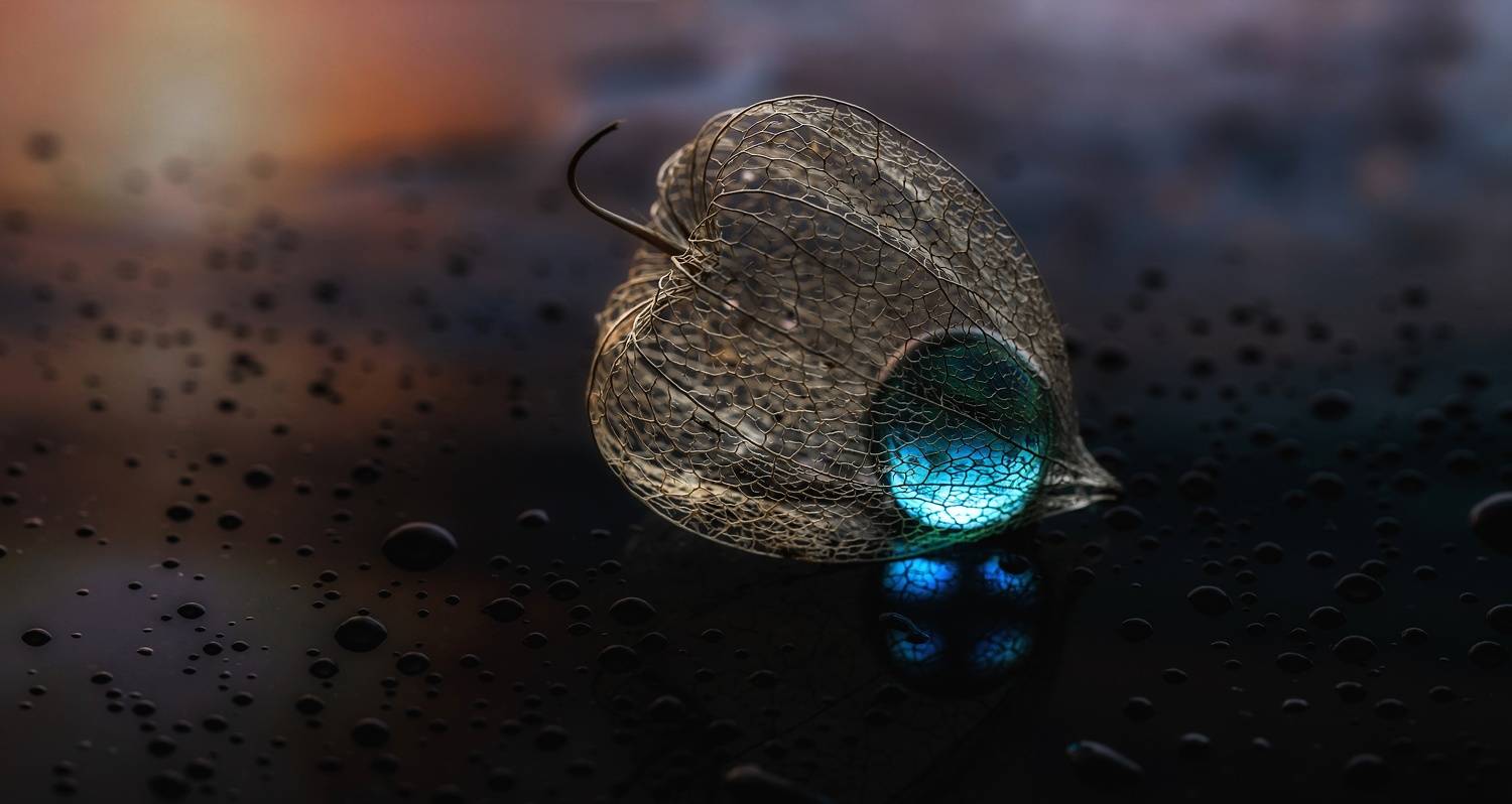 макро, macro, canon, капли, drops, Обидина Мария