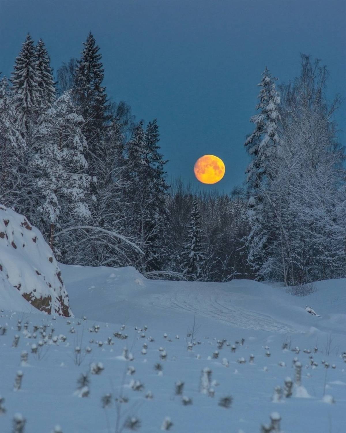 , Петр Косых