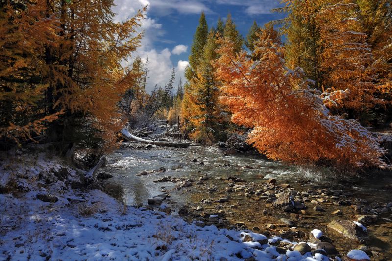 Осенние воспоминания фото превью