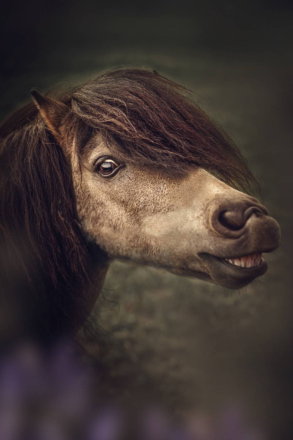 , Рымакова Арина