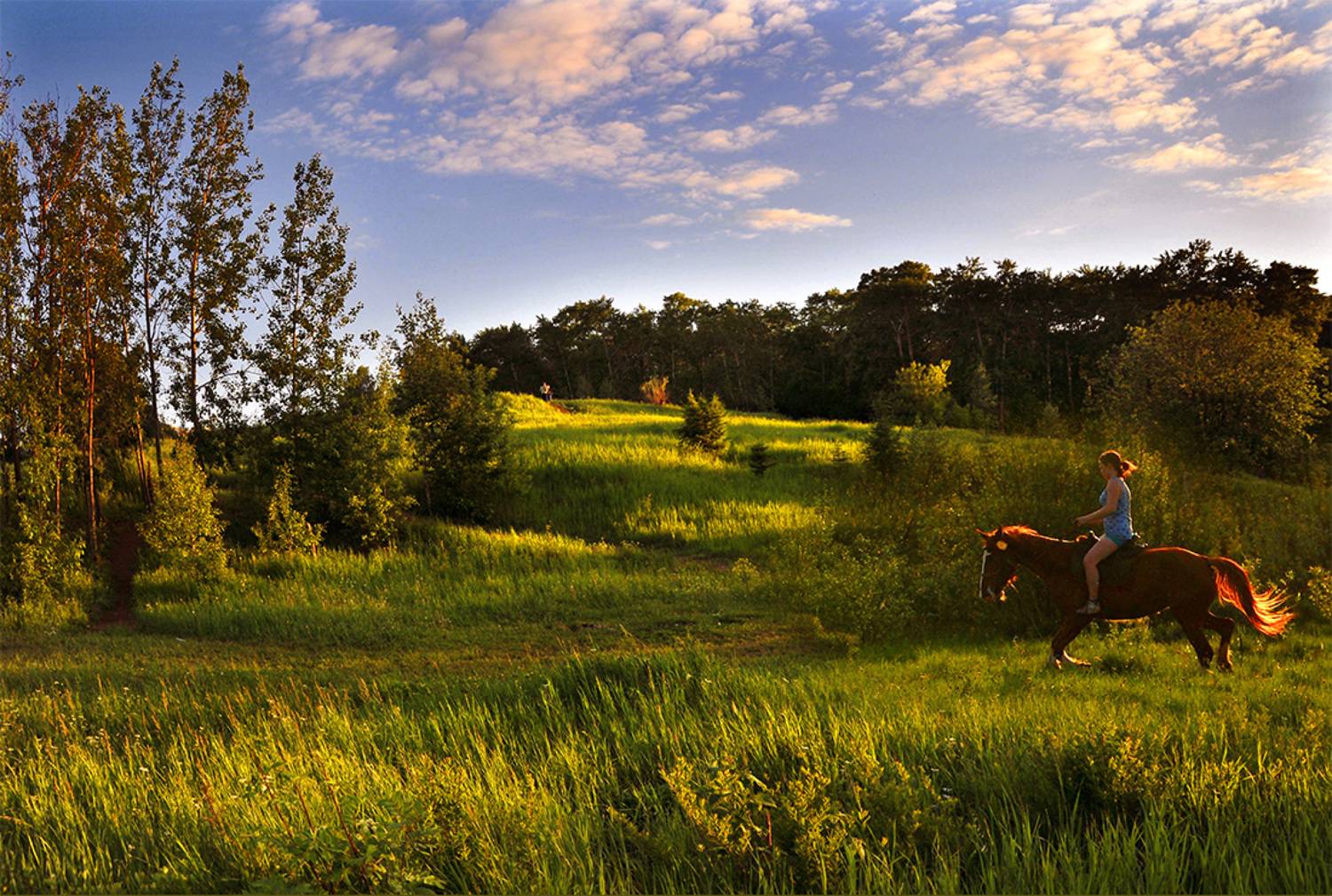 , Владимир