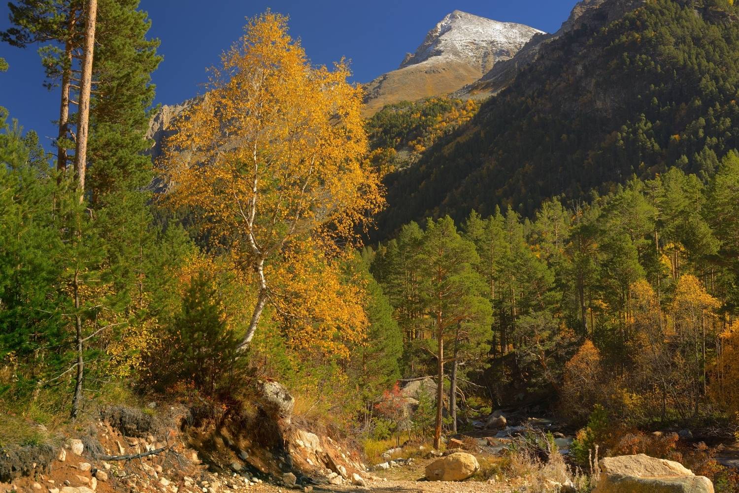 горы осень узункол, Александр Жарников