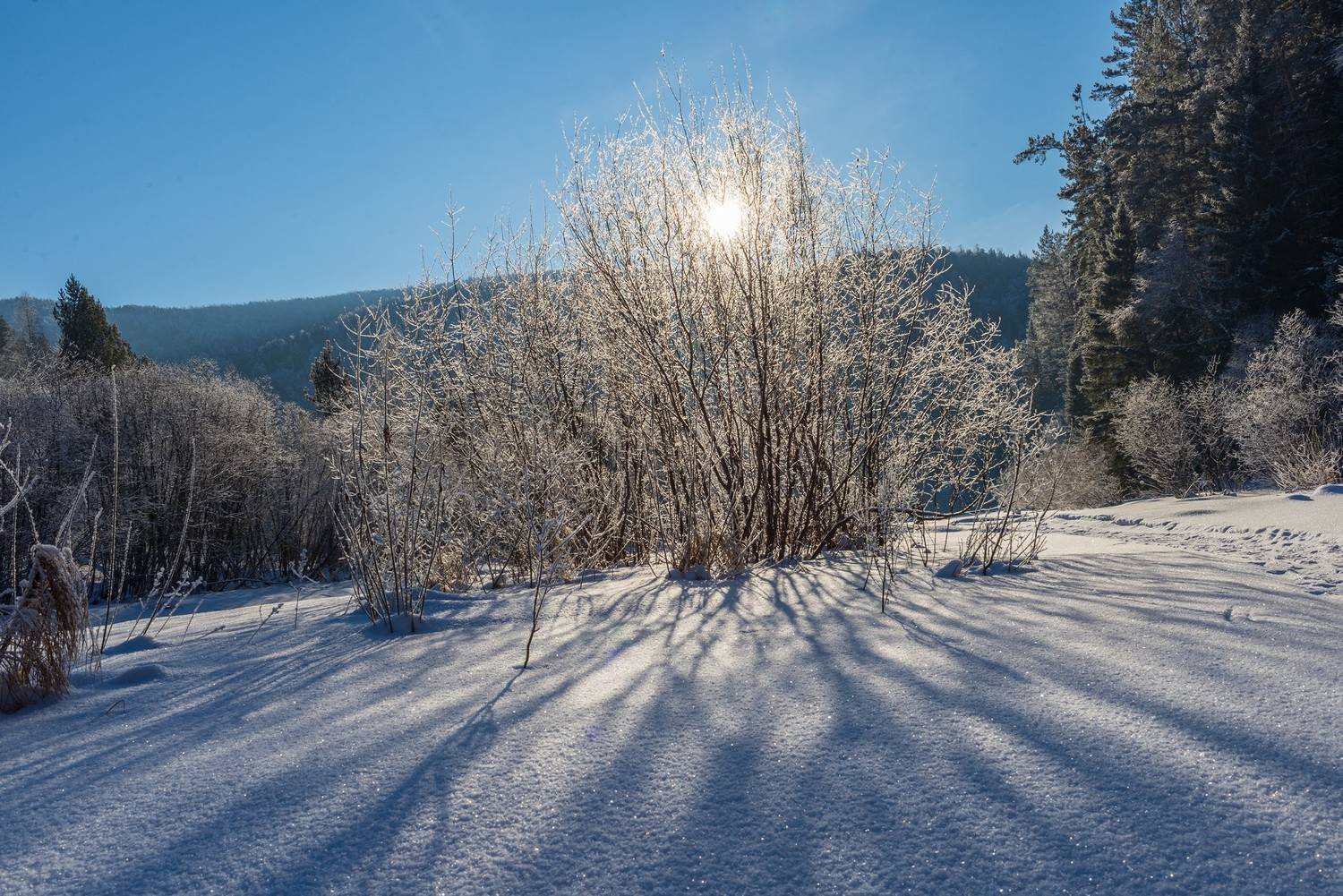 базаиха январь, Беляев Юрий