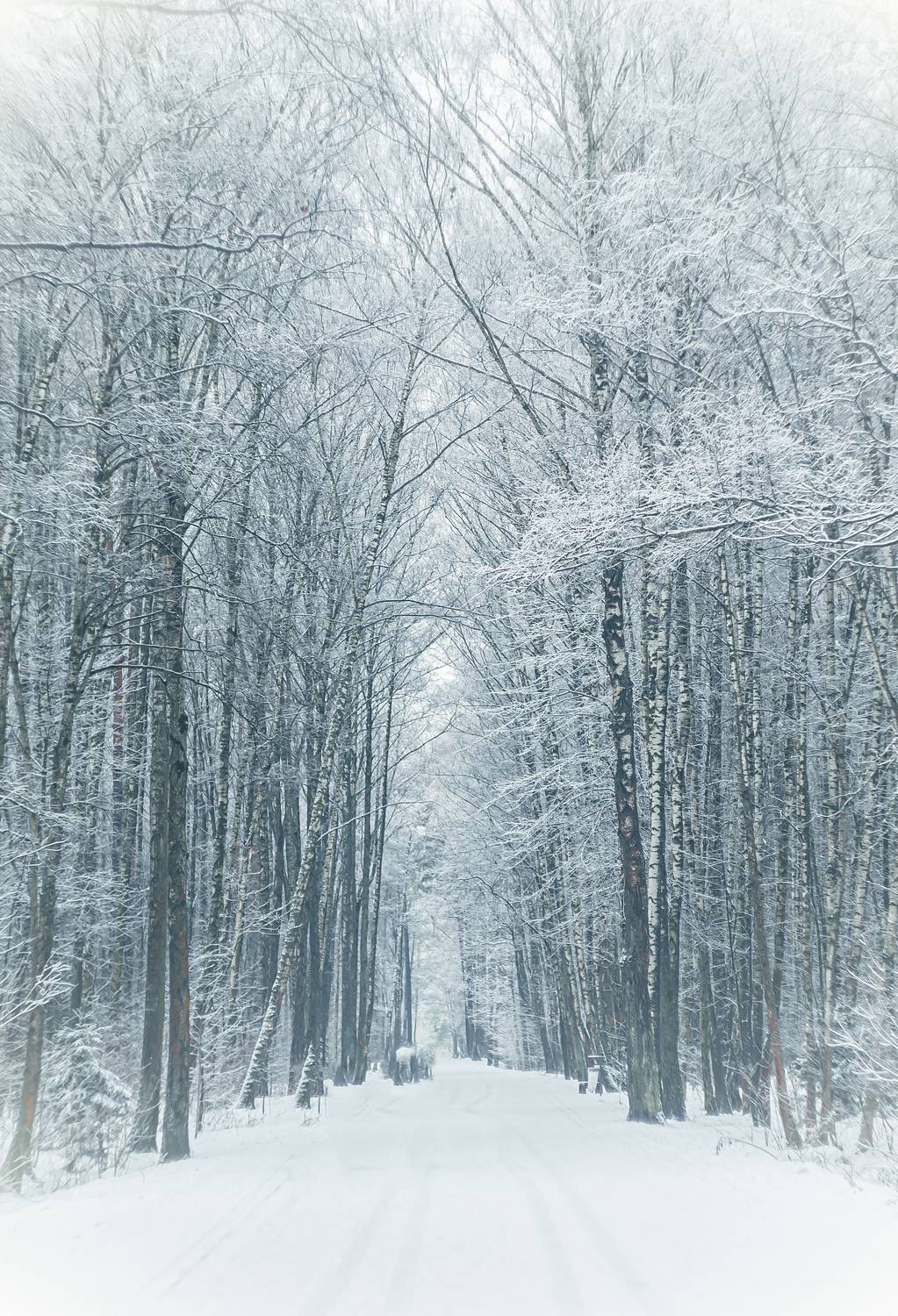 , Вайсберг Александр