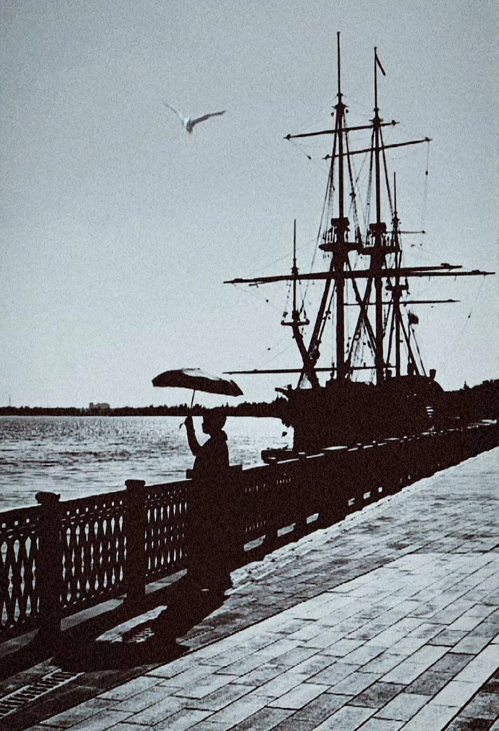 чб,воронеж,корабль,река,силуэт, Мария Приставская (Буданова)