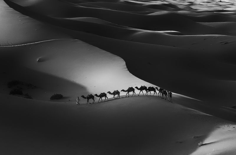 Through the Desert фото превью