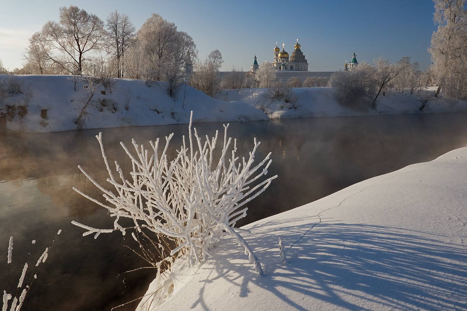 новый иерусалим, река истра, зима, мороз, иней, купина, Медведев Александр