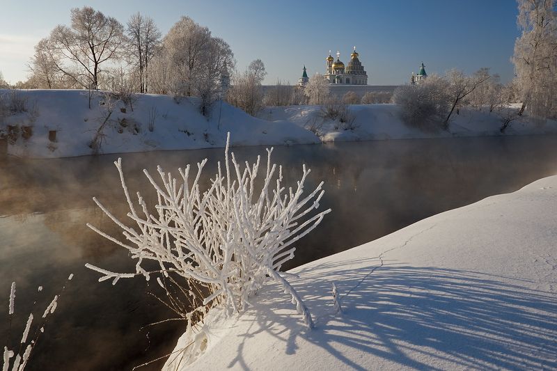 Купина фото превью