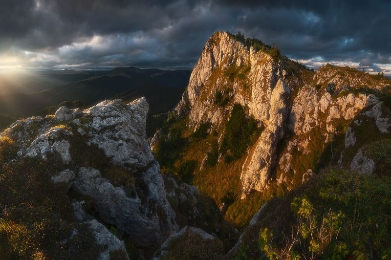 White wall фото превью