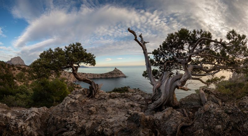 Открытка из Нового Света фото превью