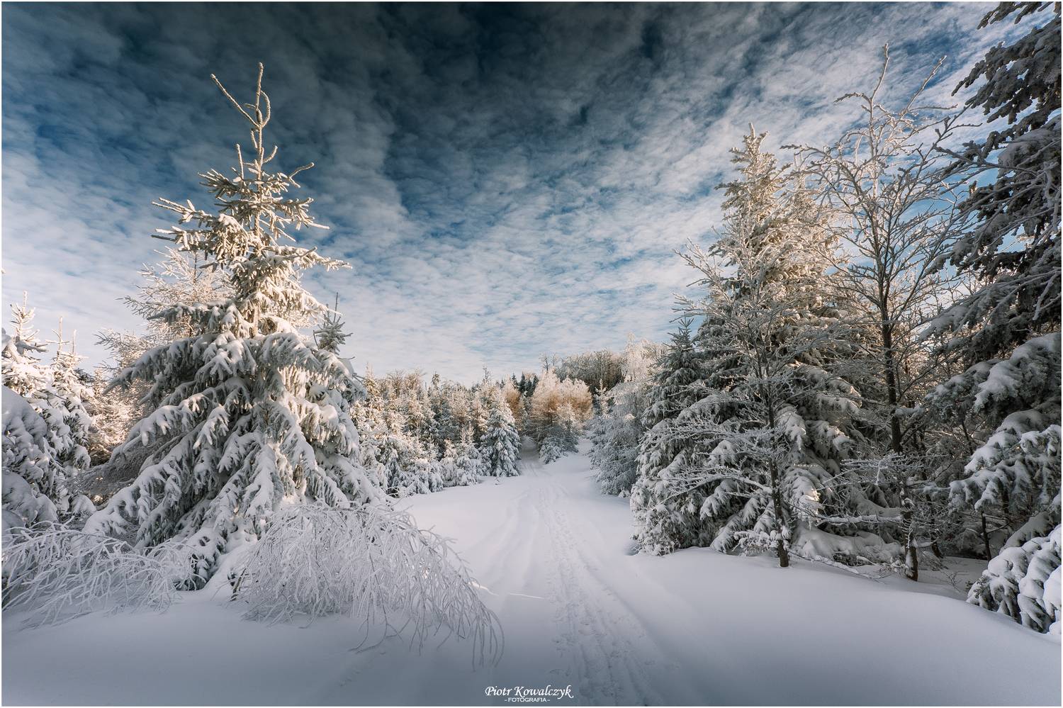 polska, zima, Kowalczyk Piotr