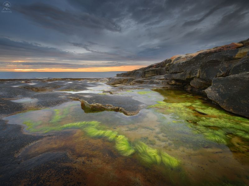 кольский, лето, фототур на кольский, мурманская область, средний, рыбачий, заполярье \