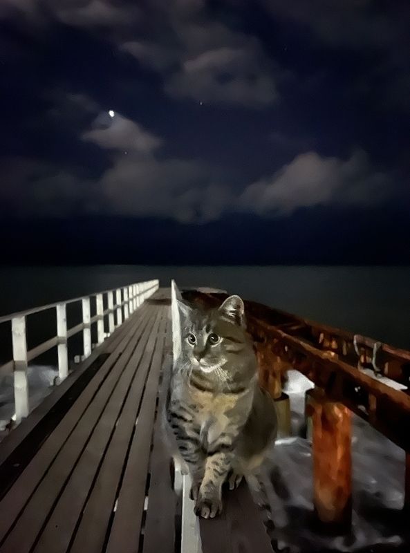 * фото превью