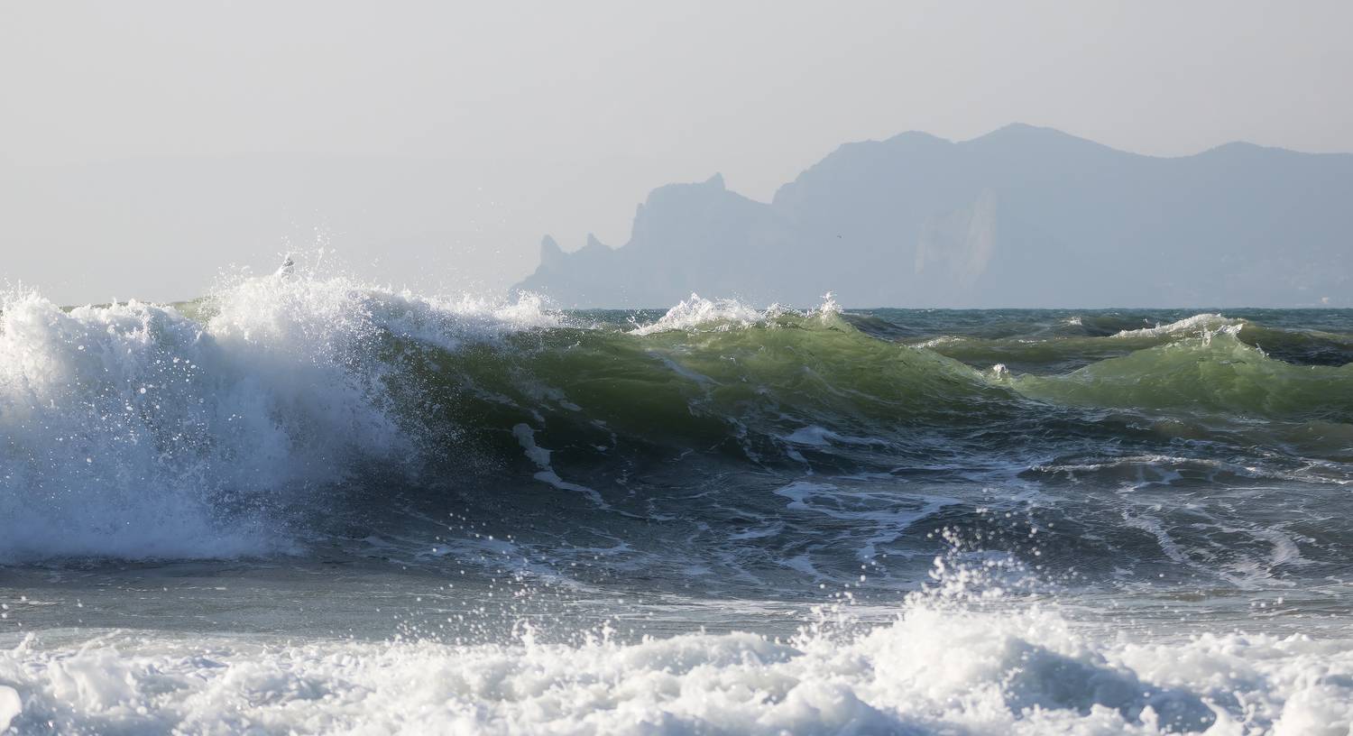 , Михаил Гапонов