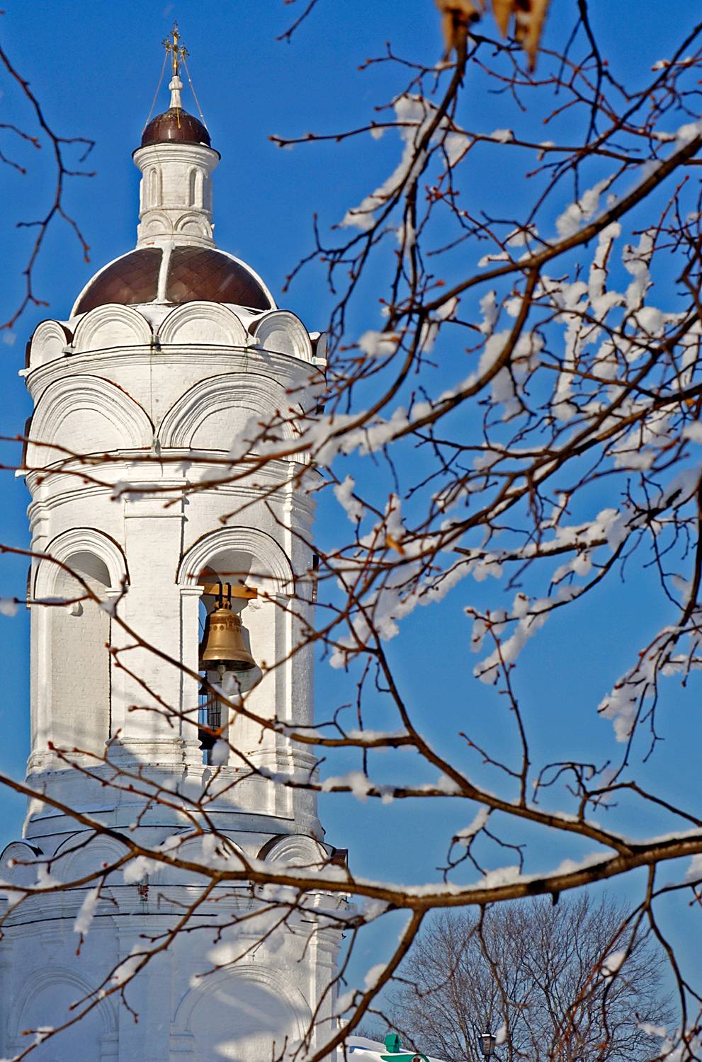 , Андрей Петросян