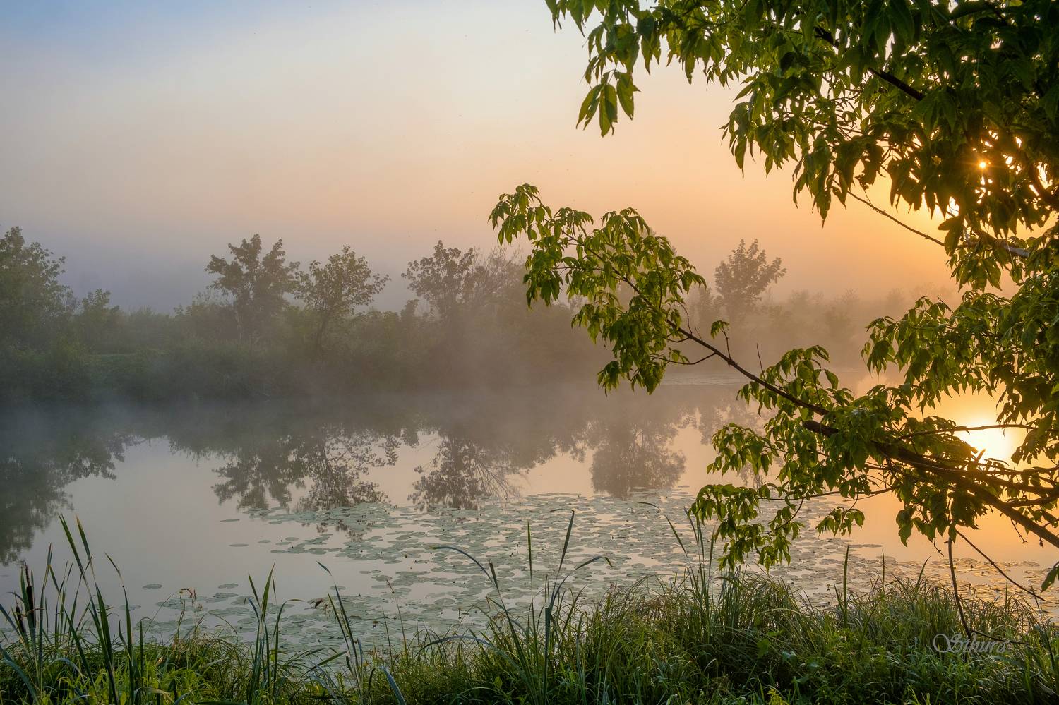 лето озеро туман рассвет природа пейзаж, Александр Строков