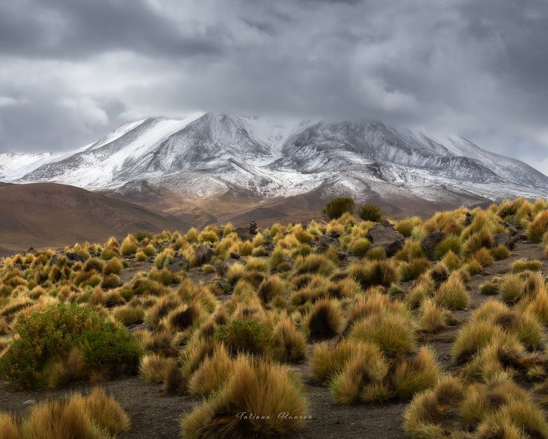 Сюжеты Боливии фото превью
