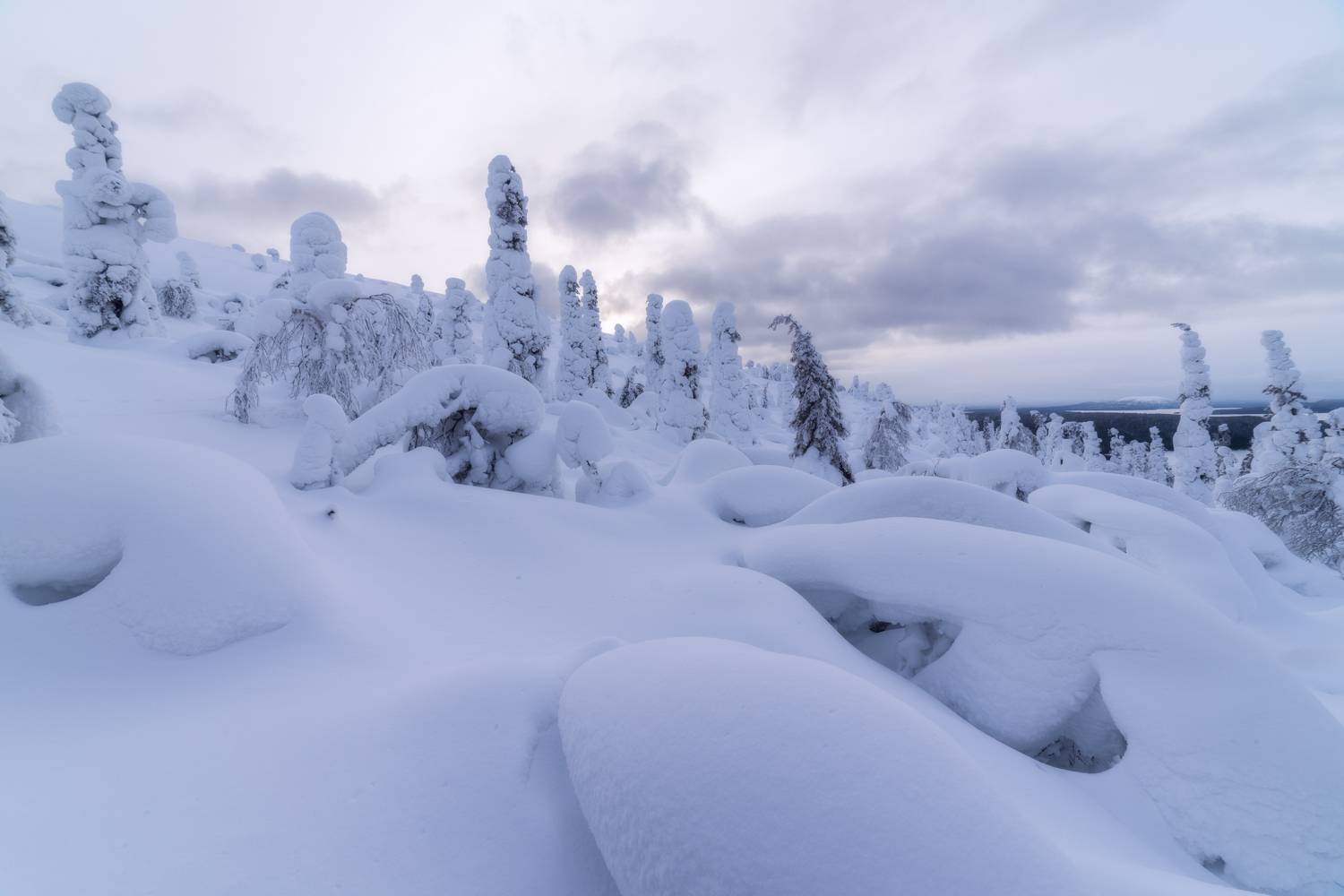 , Юлия Мальцева