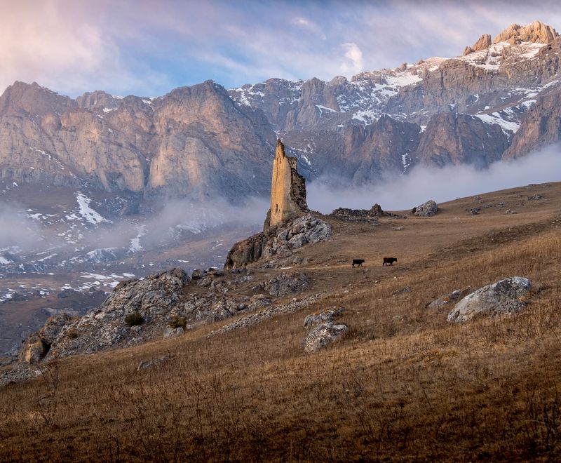 северная осетия, алания, куртатинское ущелье, сторожевые башни, халгон, цмити, нд, северный кавказ нд, покинутые миры, осетия, северный кавказ Куртатинская пастораль фото превью