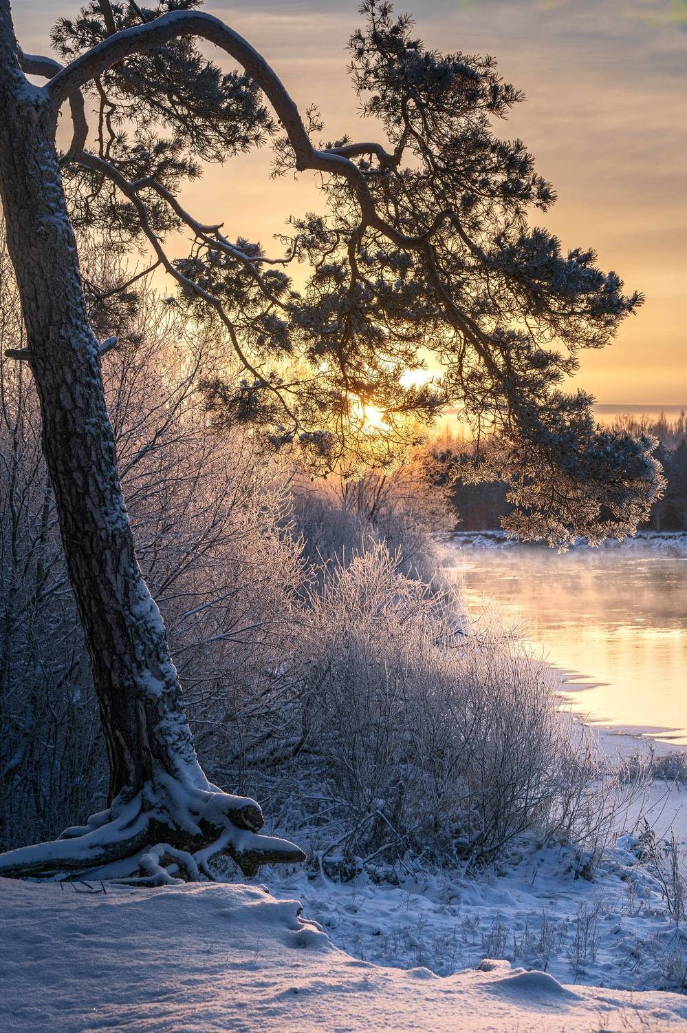 , Шимаковский Юрий