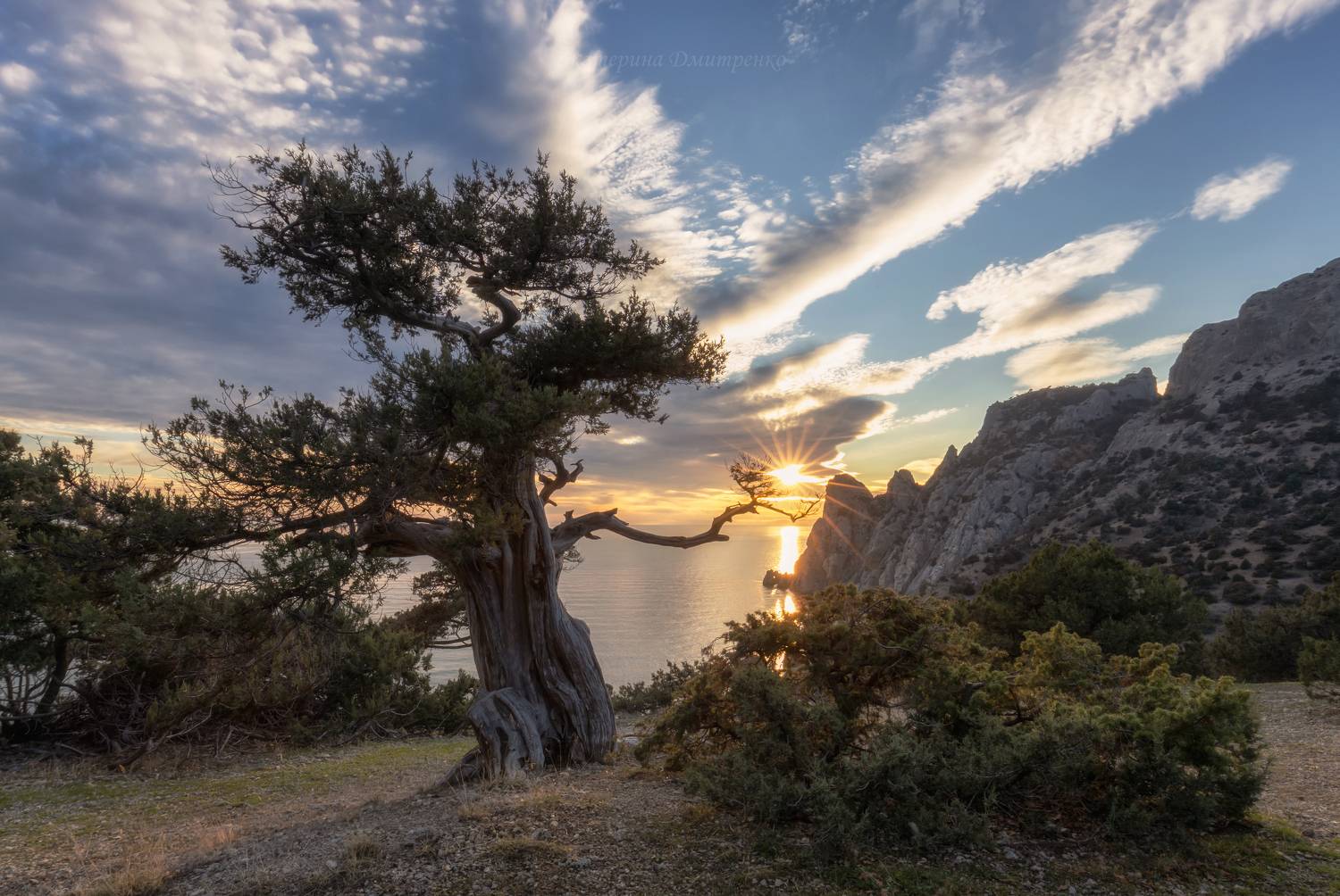 крым, новый свет, закат, пейзаж, горы, море, Дмитренко Екатерина