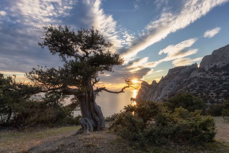 крым, новый свет, закат, пейзаж, горы, море Ловец солнца фото превью
