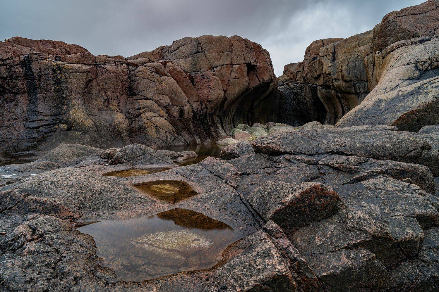 , Карамышева Дарья